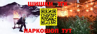 шишки Балашиха