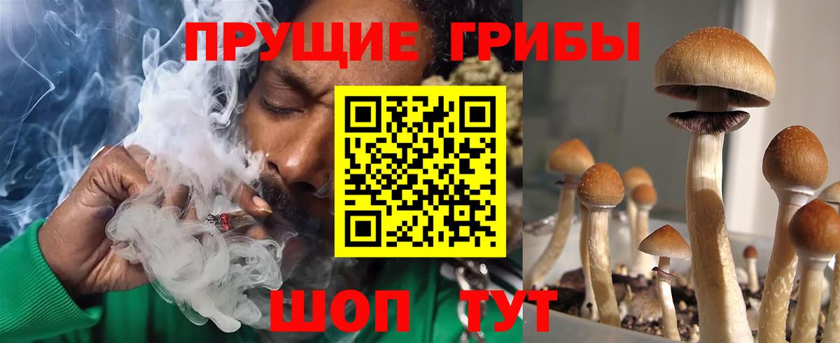 Псилоцибиновые грибы Magic Shrooms Губкин